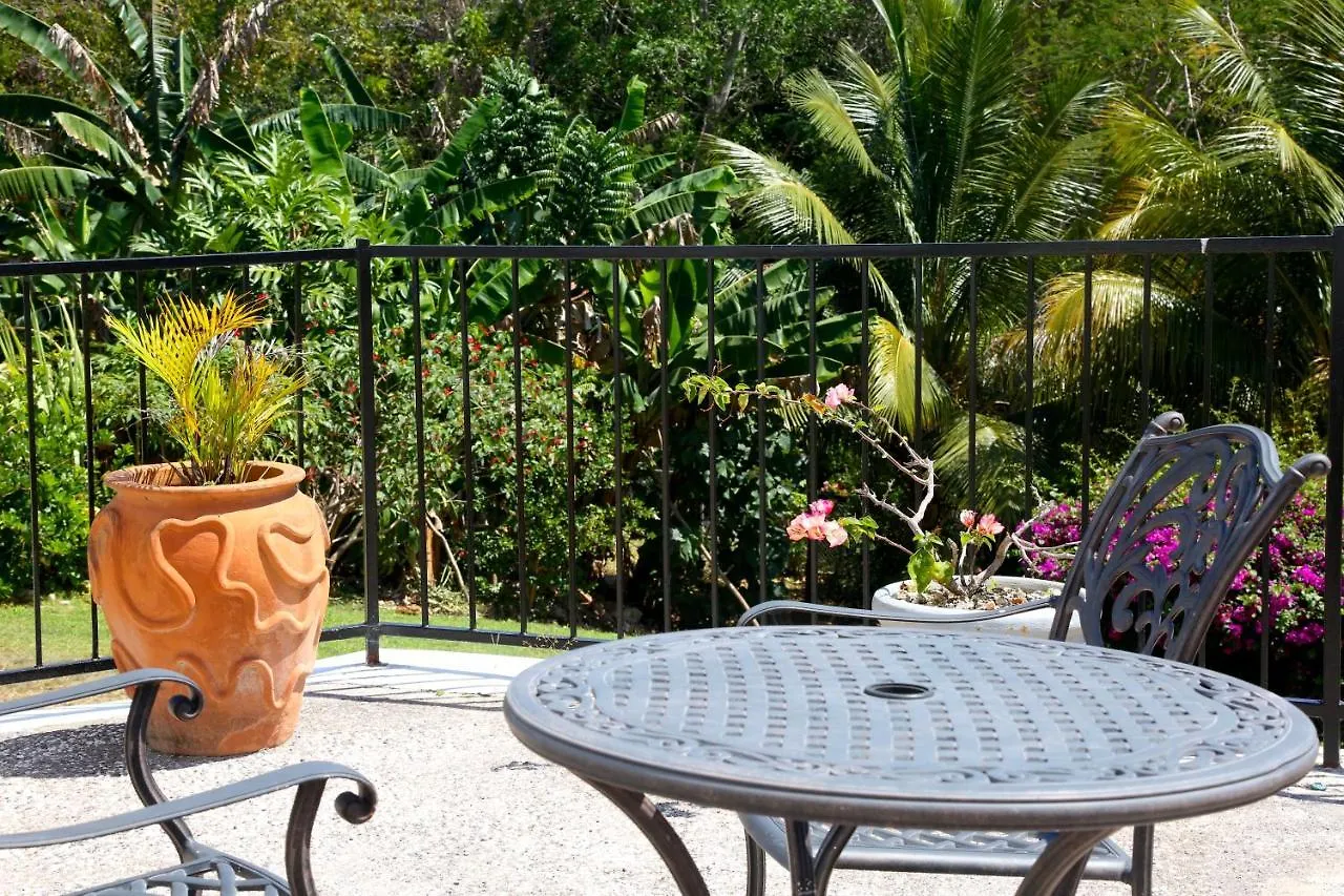 Willa Jannetta'S @Whimhill Bed & Breakfast Negril