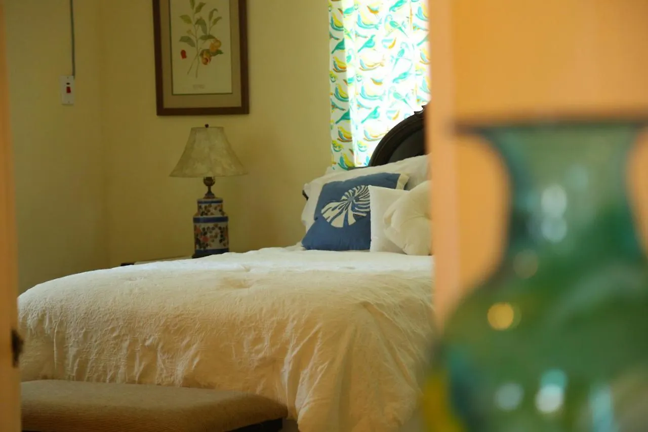 Jannetta'S @Whimhill Bed & Breakfast Negril 0*,
